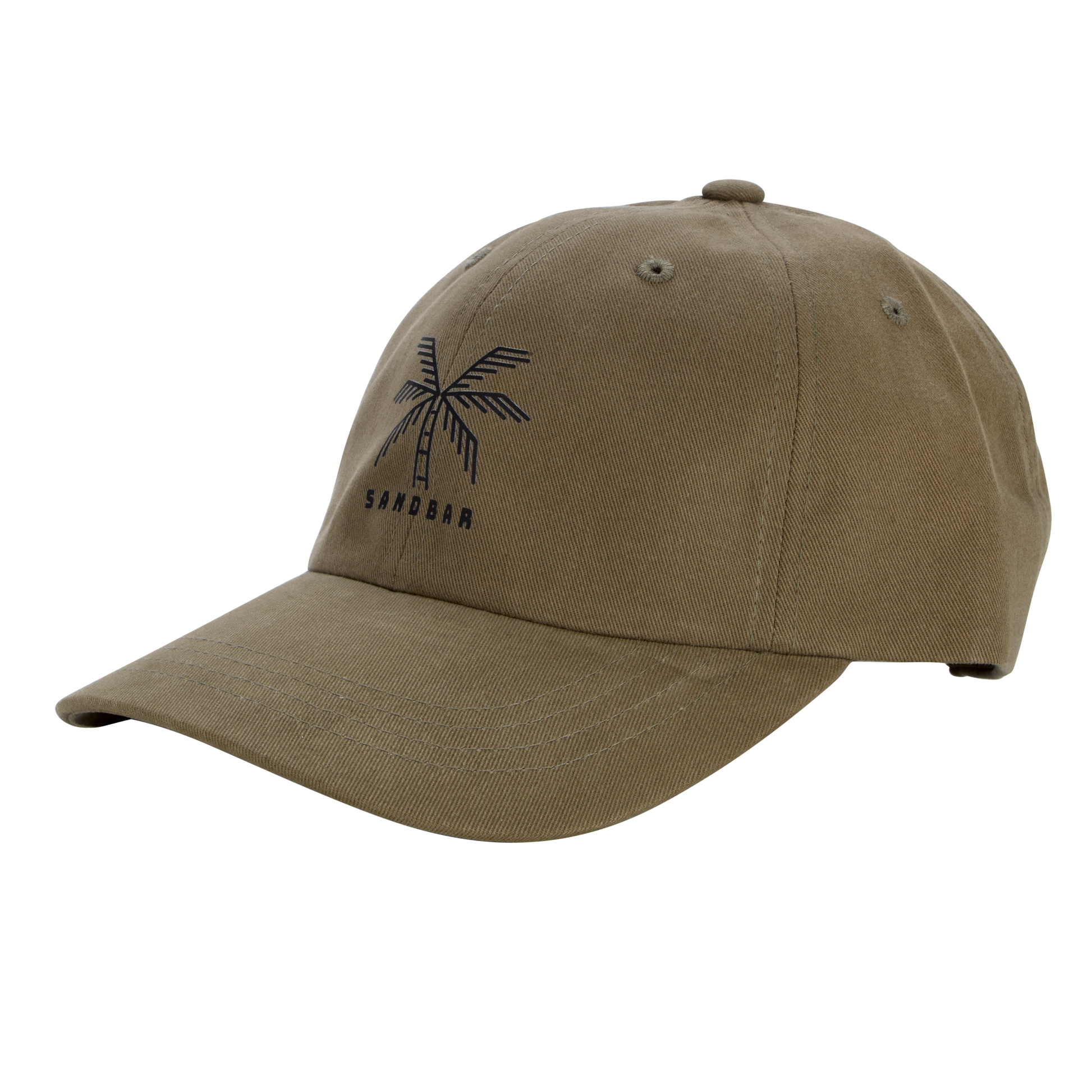 Sandbar Lone Palm